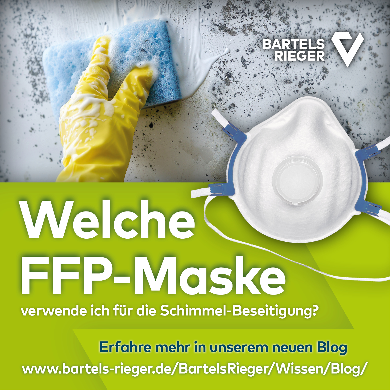 Welche FFP-Maske verwende ich für Schimmel-Beseitigung?