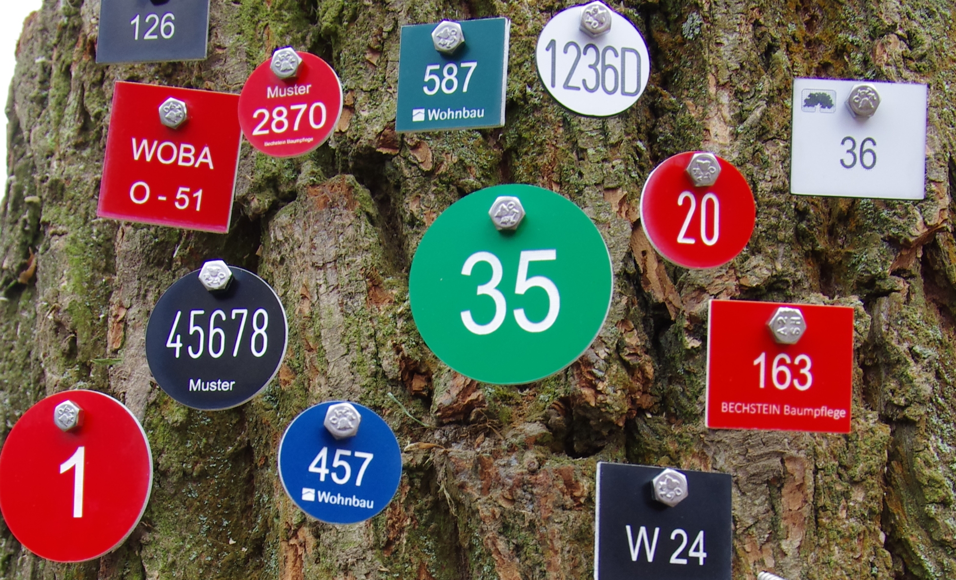 Baumnummern, Sämtl. Dienstleistung rund um den Baum